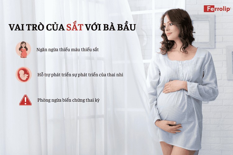 tầm quan trọng của sắt với bà bầu 3 tháng đầu